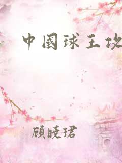 中国球王攻略