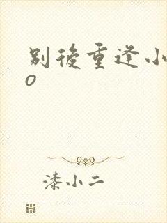 别后重逢小说po