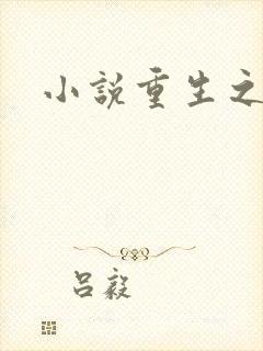 小说重生之官道