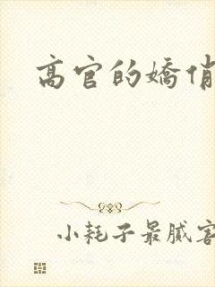 高官的娇俏妻