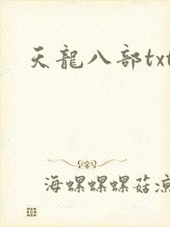 天龙八部txt