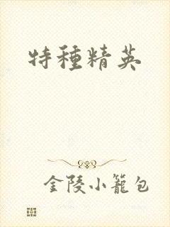 特种精英