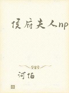 侯府夫人np