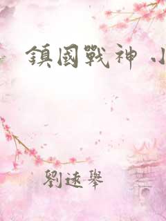 镇国战神 小说
