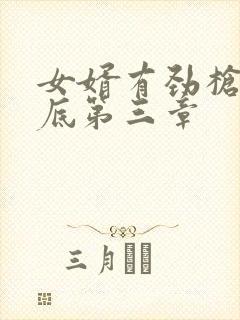 女婿有劲枪枪到底第三章