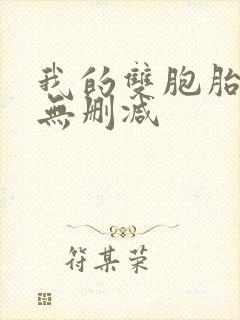 我的双胞胎老婆无删减