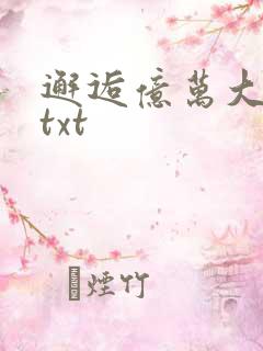 邂逅亿万大人物txt