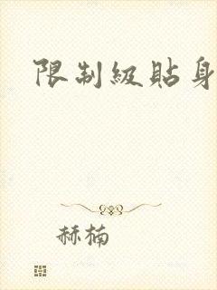 限制级贴身高手