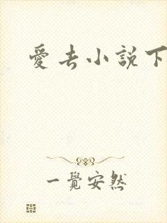 爱去小说下载网