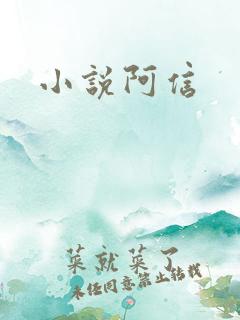小说阿信