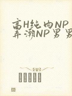 高H纯肉NP 弄潮NP男男