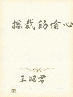 总裁的偷心娇妻