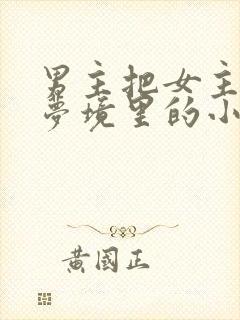 男主把女主拖进梦境里的小说