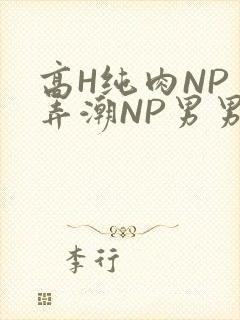 高H纯肉NP 弄潮NP男男