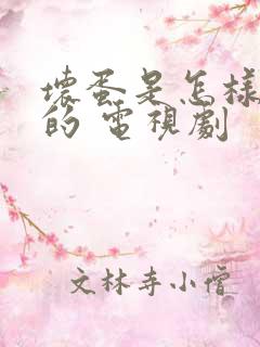 坏蛋是怎样炼成的 电视剧