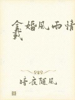 金婚风雨情 下载