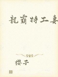 龙霸特工妻