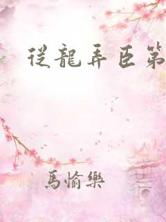 从龙弄臣第一次