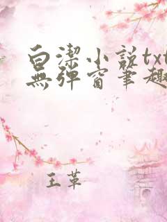 白洁小说txt无弹窗笔趣阁