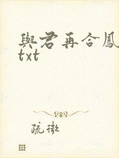 与君再合凤求凰txt