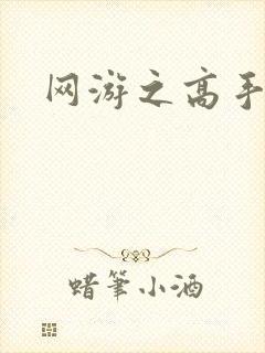 网游之高手寂寞