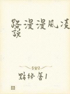 路漫漫风凌轩小说