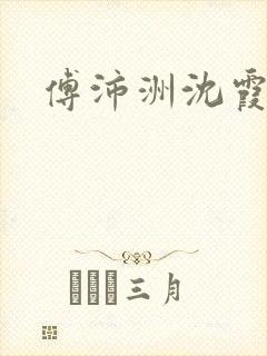 傅沛洲沈霞小说