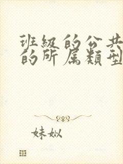 班级的公共小0的所属类型