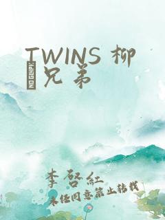 TWINS 柳澤兄弟
