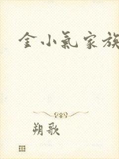 金小气家族小说