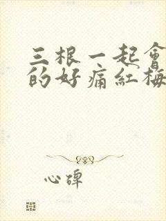 三根一起会坏掉的好痛红梅