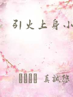 引火上身小说