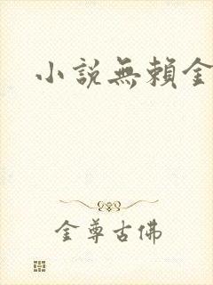 小说无赖金仙