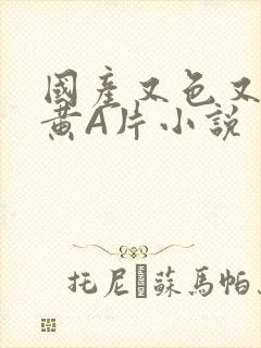 国产又色又爽又黄A片小说