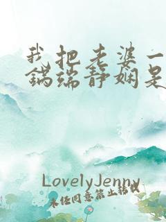 我把老婆一家一锅端静娴是什么书