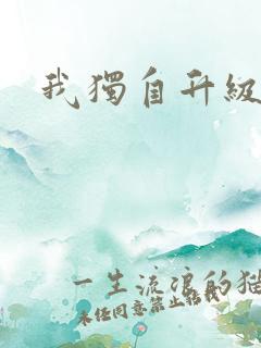 我独自升级小说