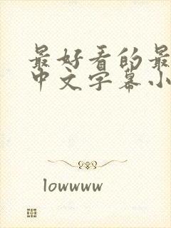 最好看的最新的中文字幕小说