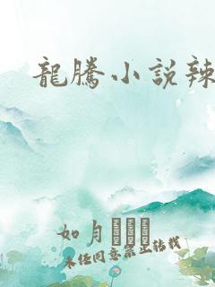 龙腾小说辣文网