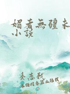 媚者无疆未删减小说