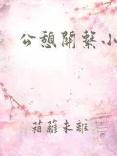 公憩关系小说