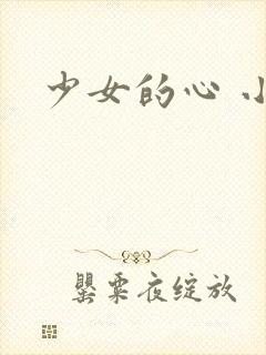 少女的心 小说