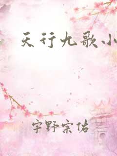 天行九歌小说