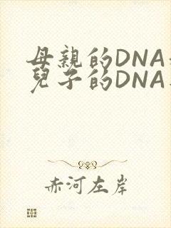 母亲的DNA和儿子的DNA是一样的吗