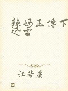 辣妈正传下载 迅雷