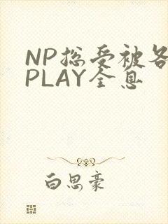 NP总受被各种PLAY全息