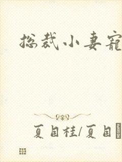 总裁小妻宠上天