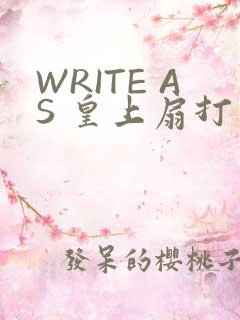WRITE AS 皇上扇打