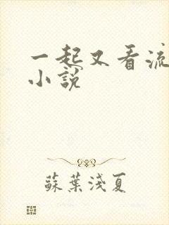 一起又看流星雨小说