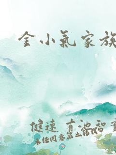金小气家族小说