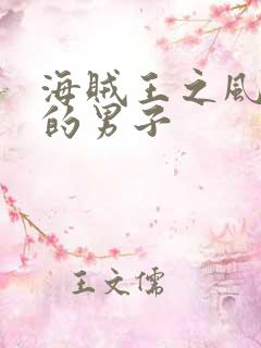 海贼王之风一样的男子